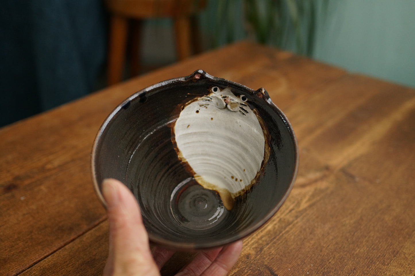 Cat Bowl