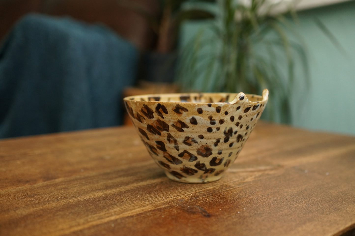Leopard Bowl