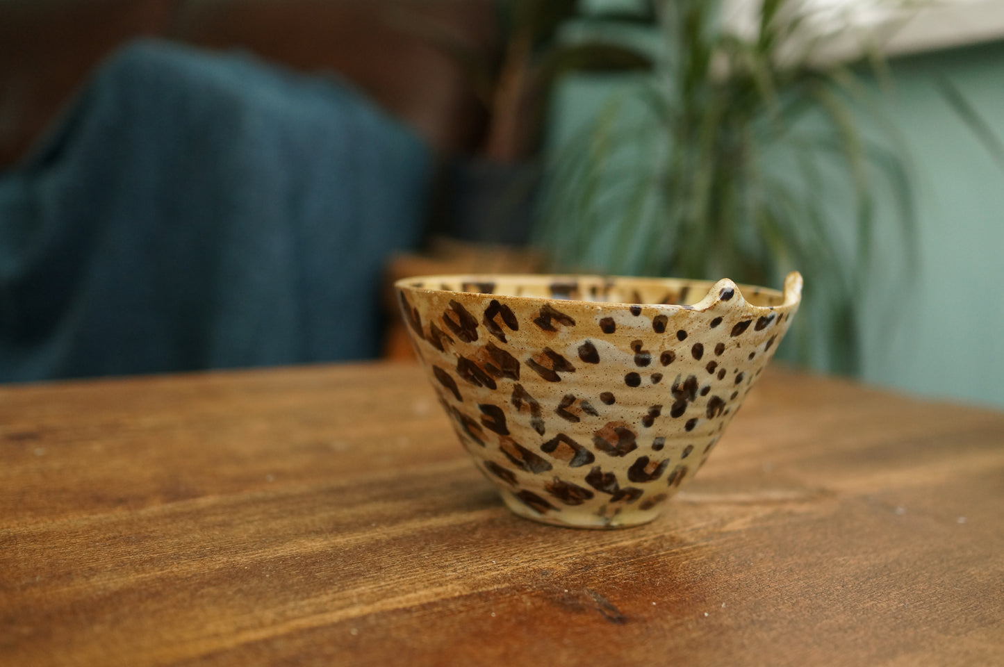 Leopard Bowl