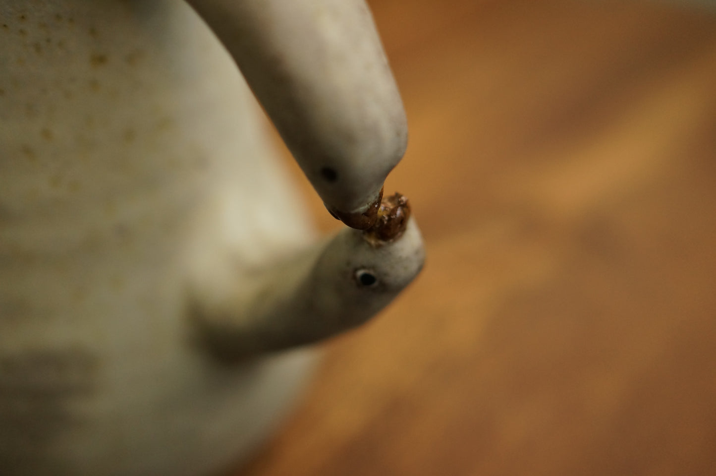 Two Duck Vase