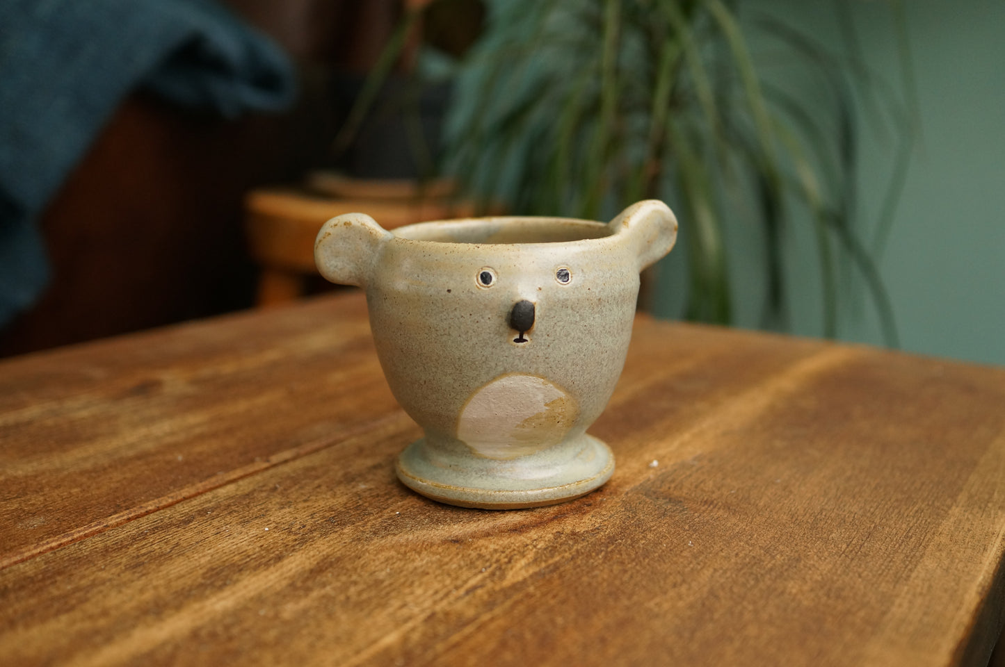 Koala Cup