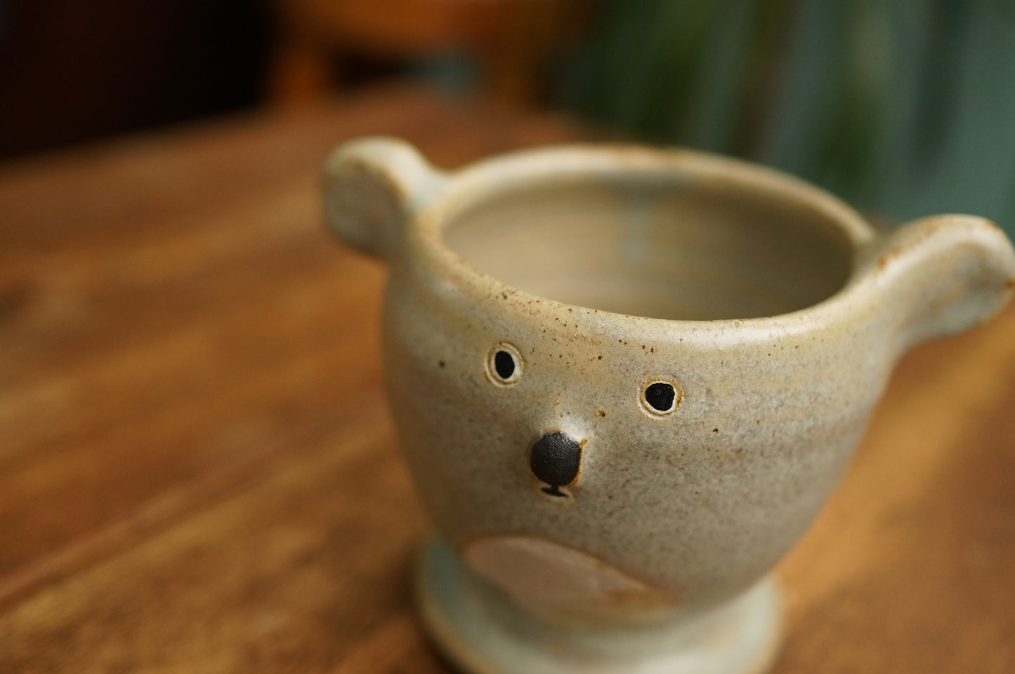 Koala Cup