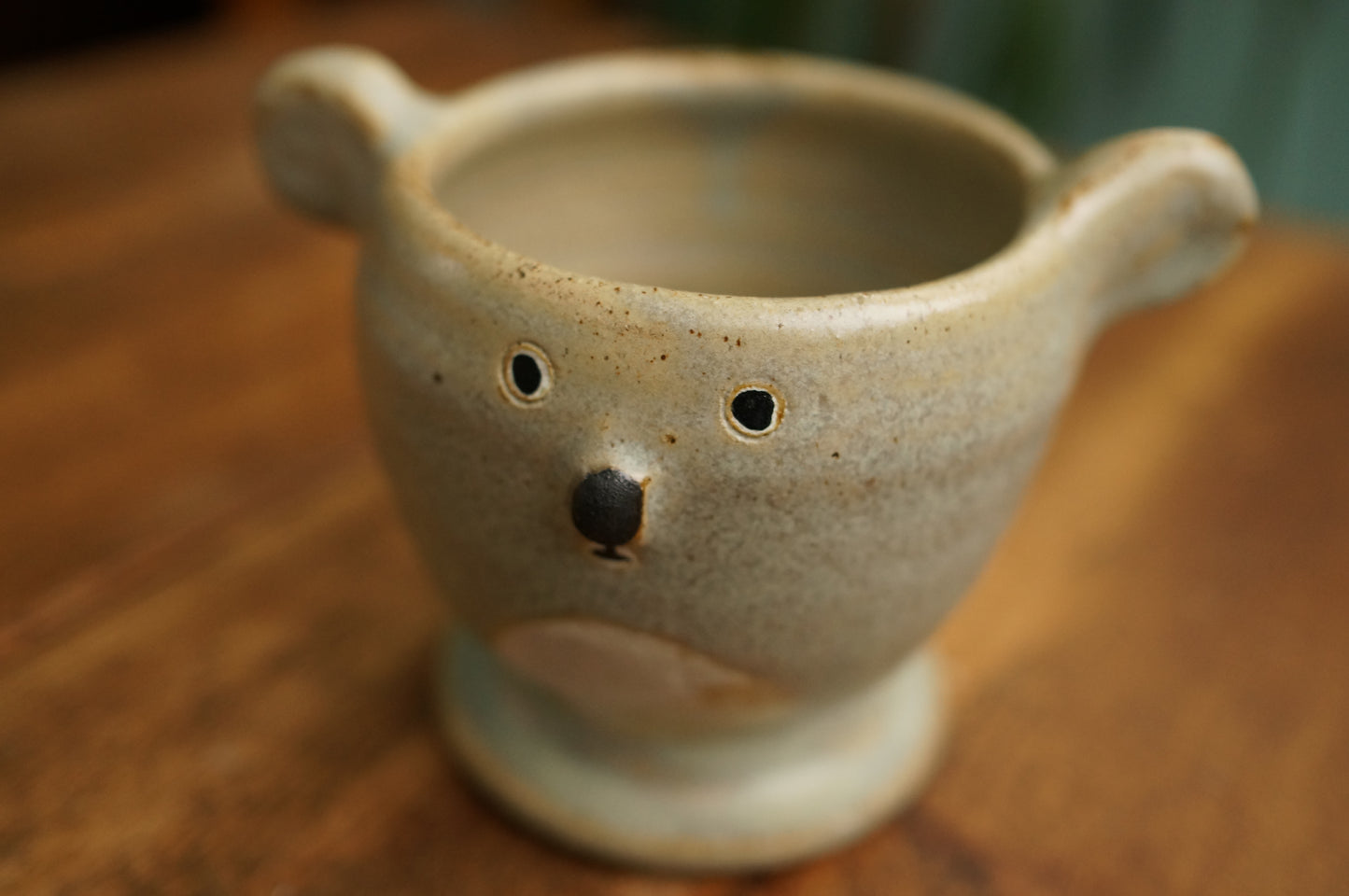 Koala Cup
