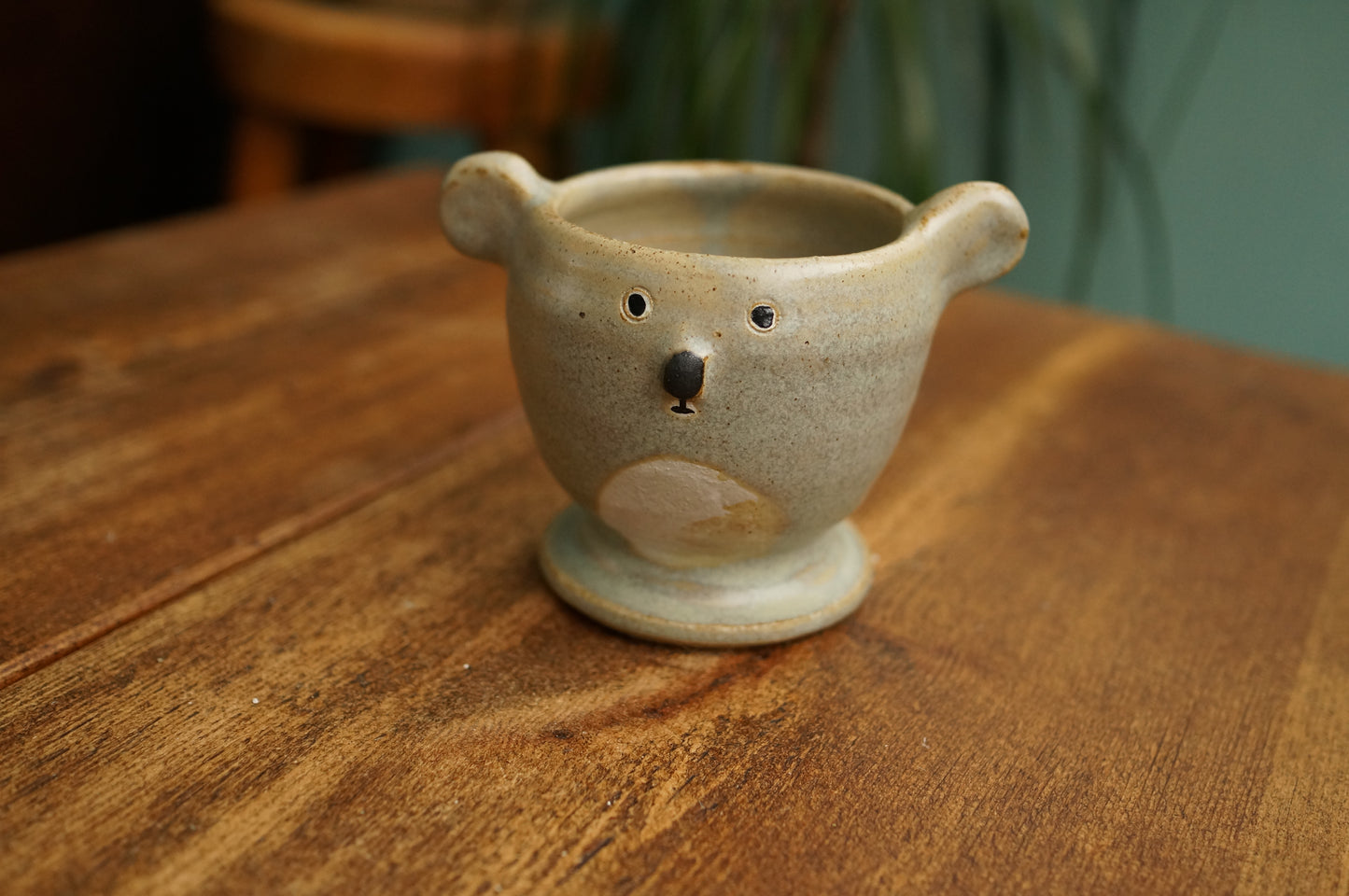 Koala Cup