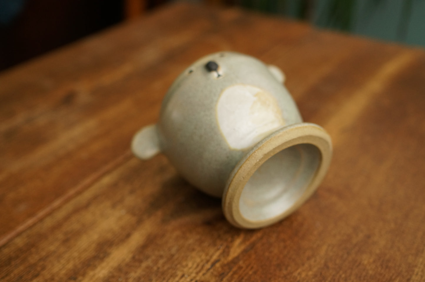 Koala Cup