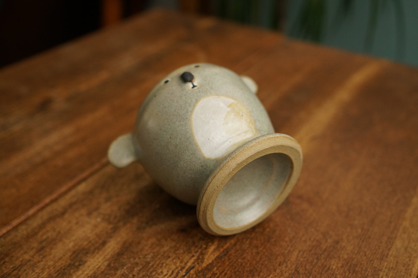 Koala Cup
