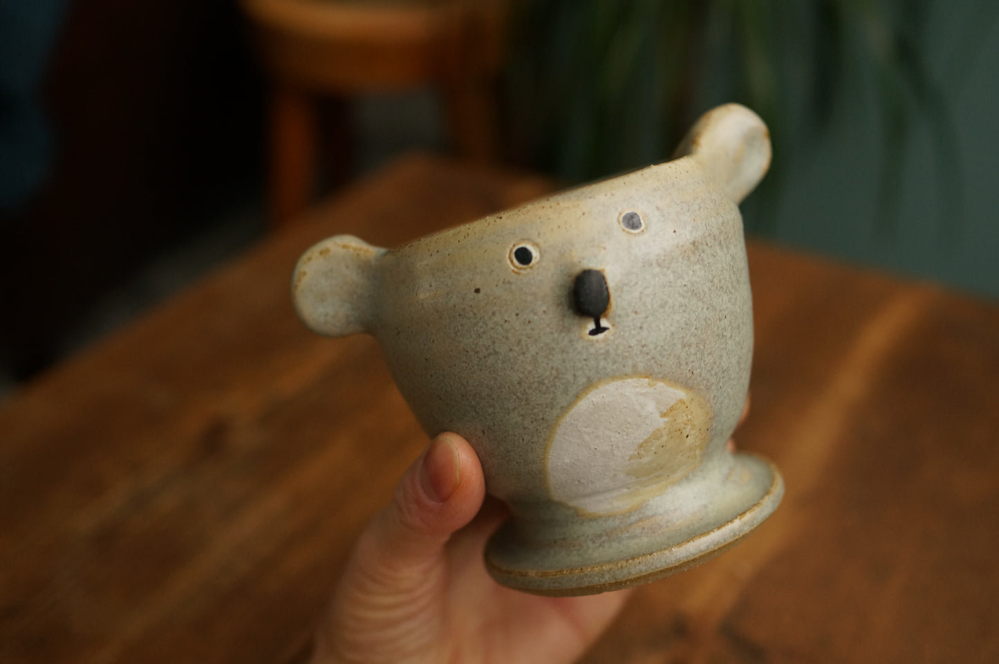 Koala Cup