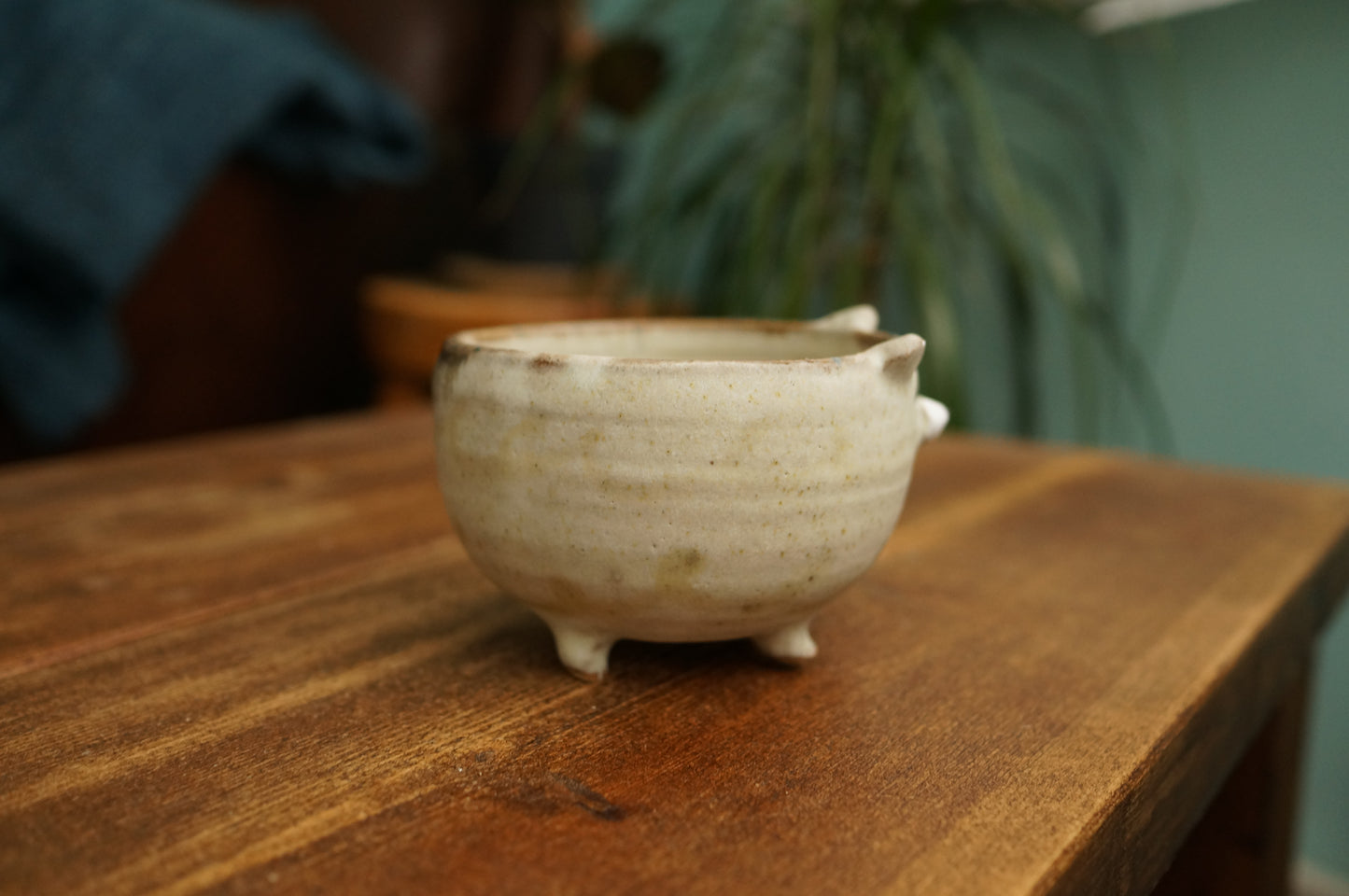 Bear Bowl