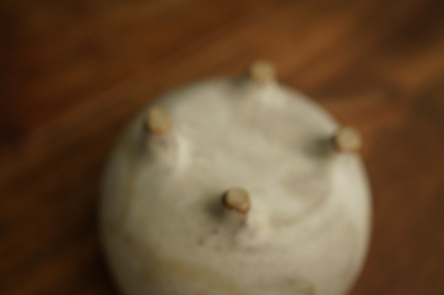Bear Bowl