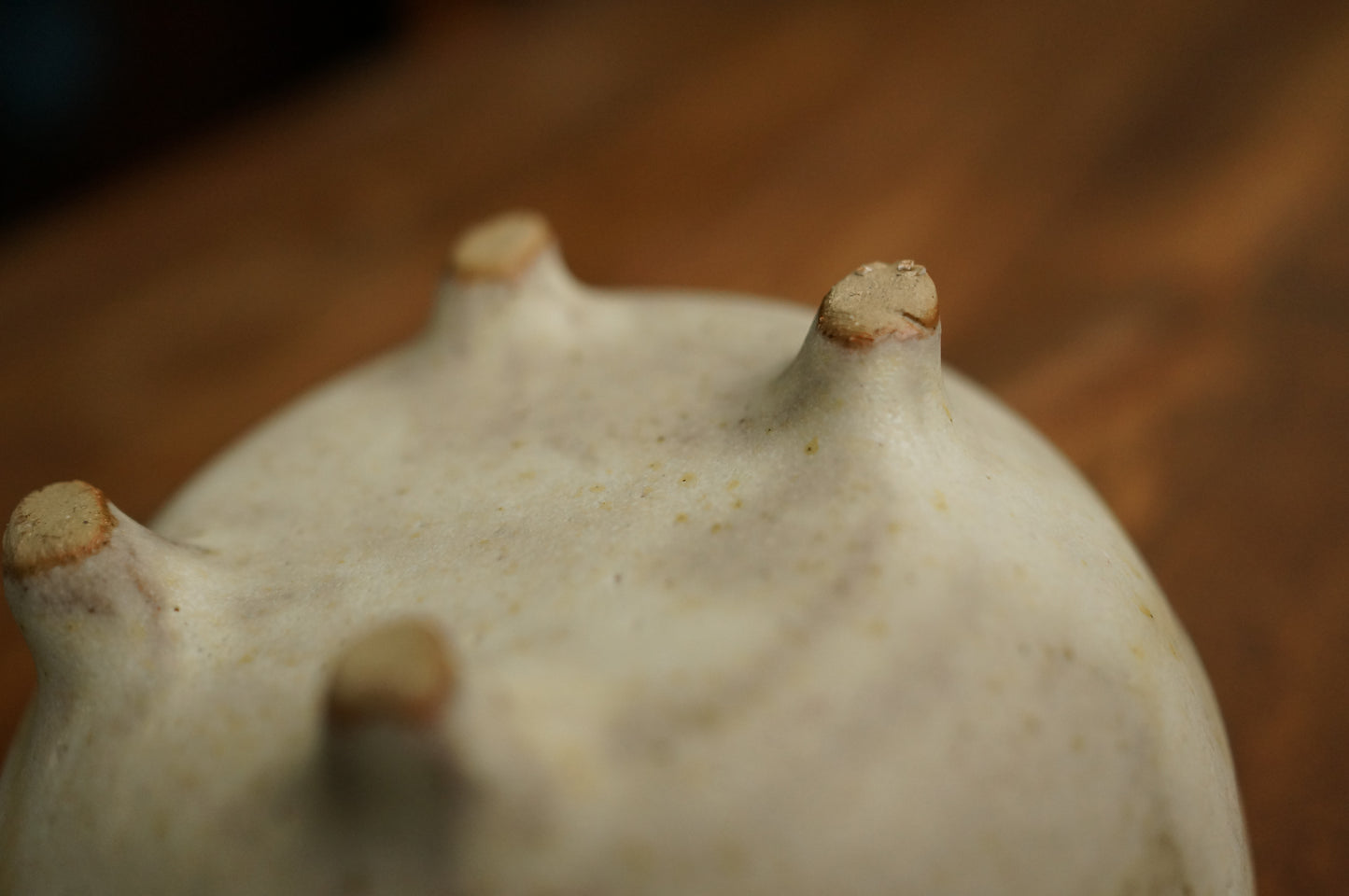 Bear Bowl