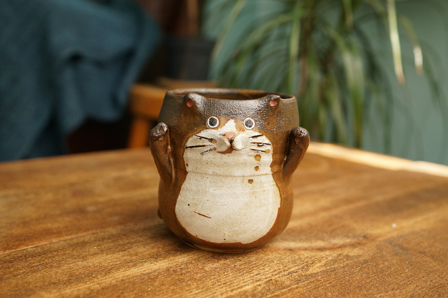 Cat Cup