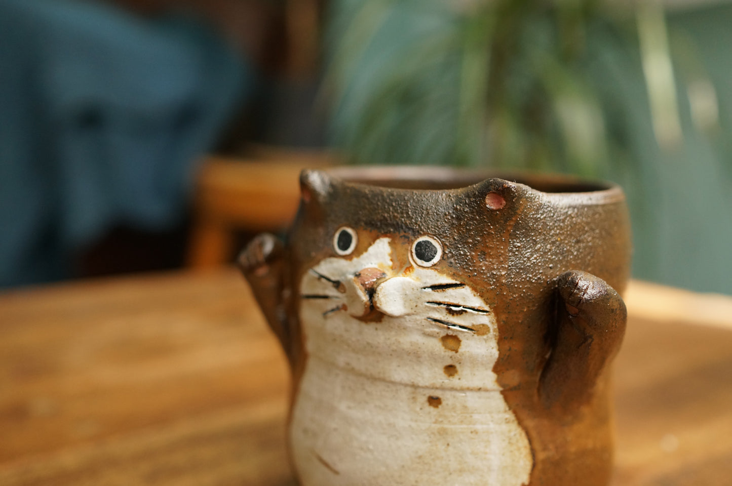 Cat Cup