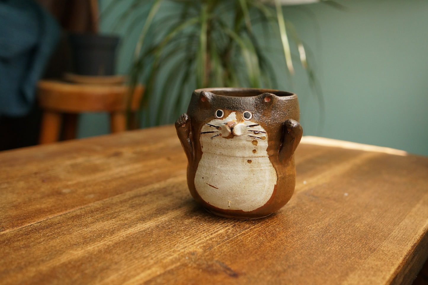 Cat Cup