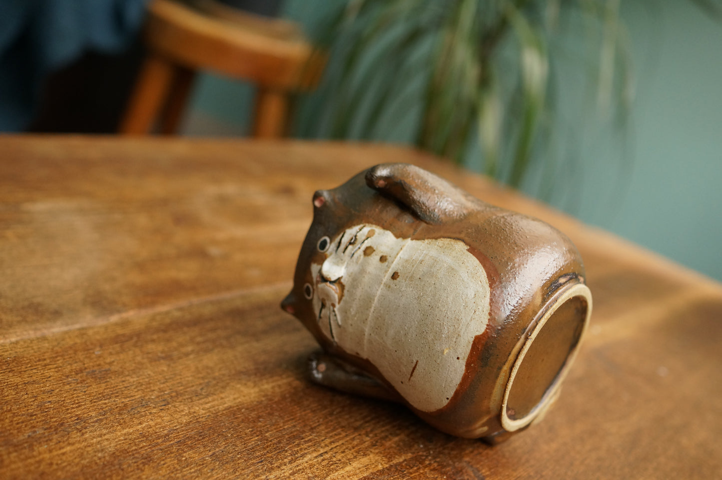 Cat Cup