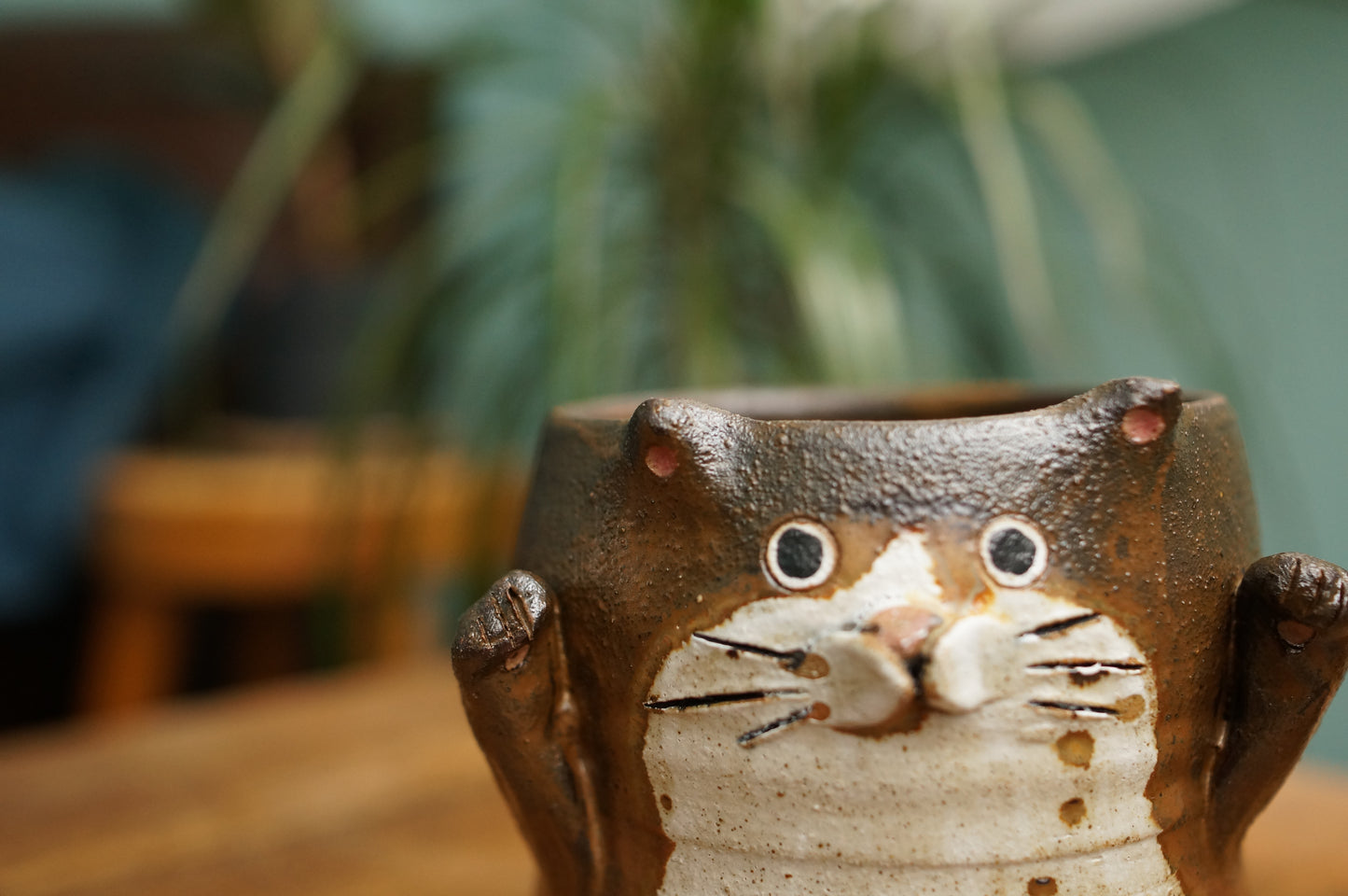 Cat Cup