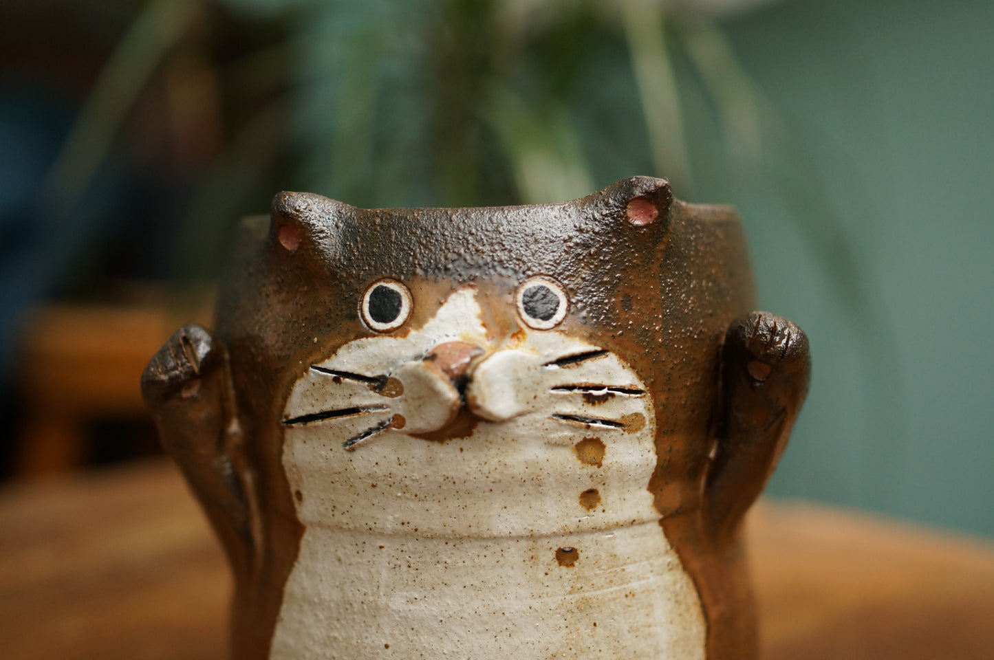 Cat Cup