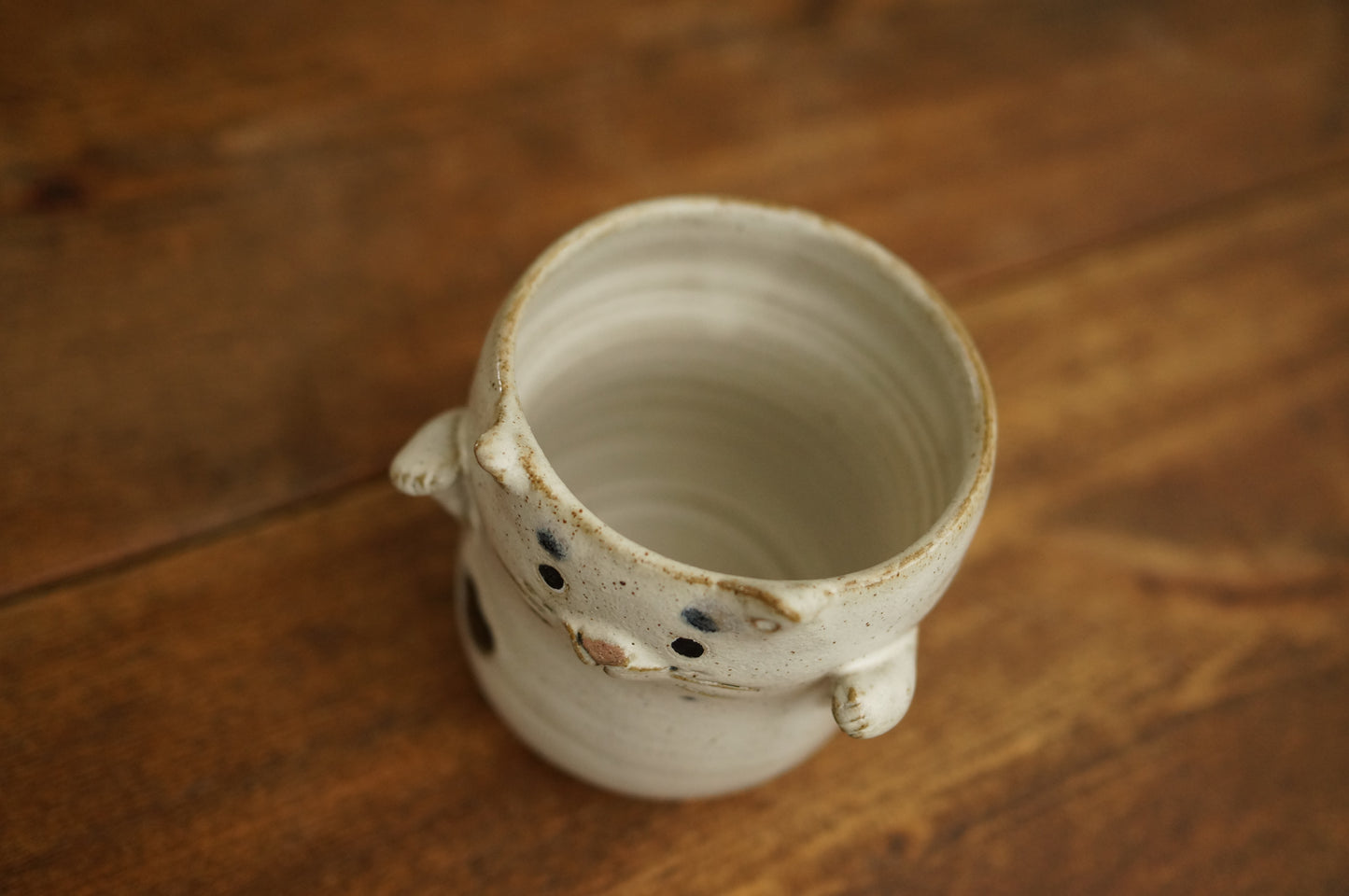 Cat Cup