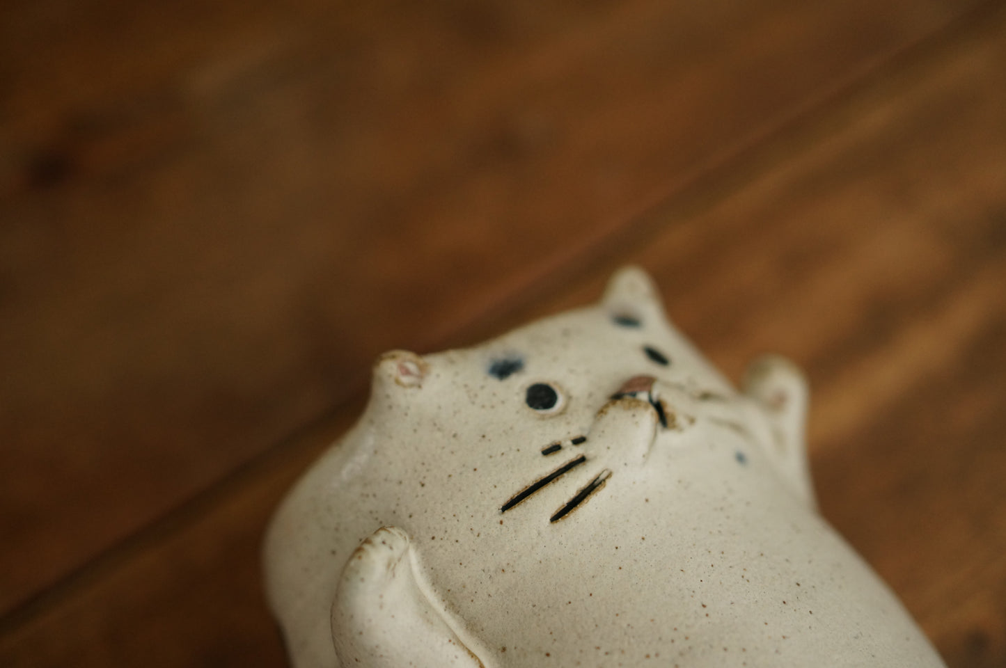Cat Cup