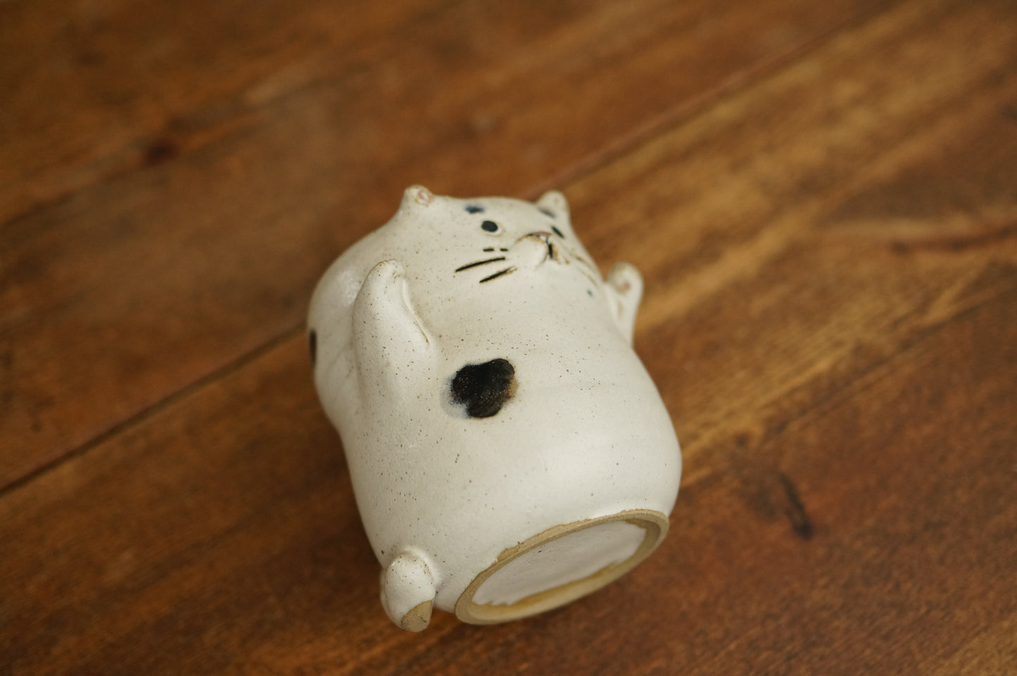 Cat Cup