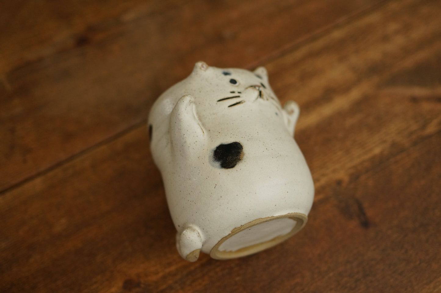 Cat Cup