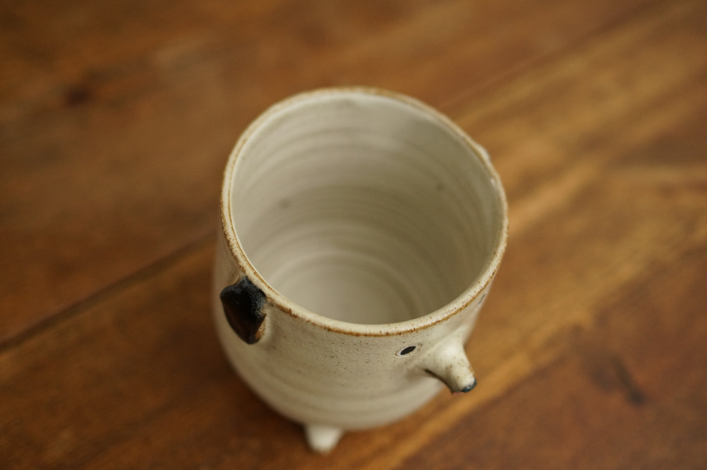 Four Legs Dalmatian Dog Cup