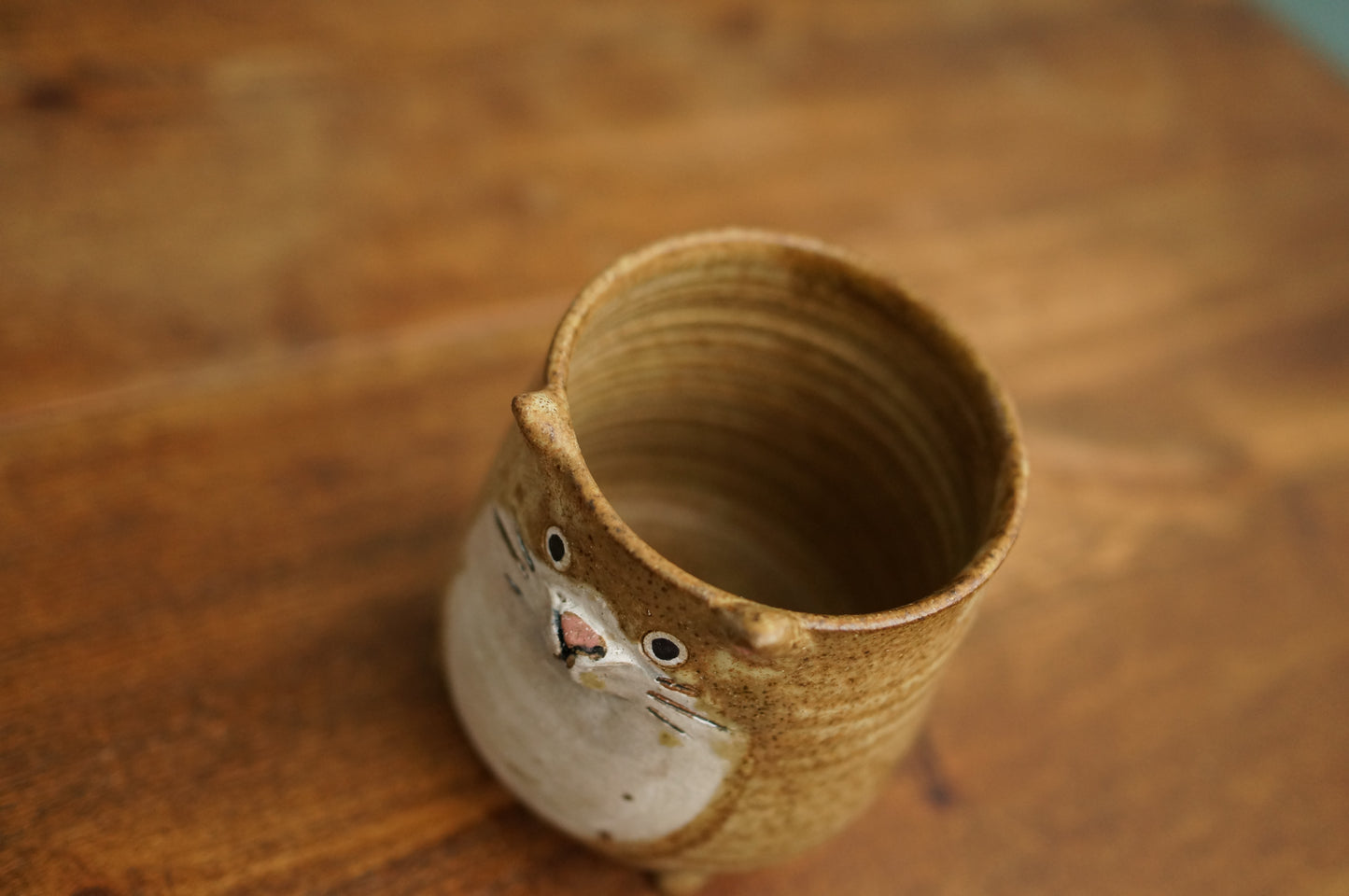 Four Legs Cat Cup