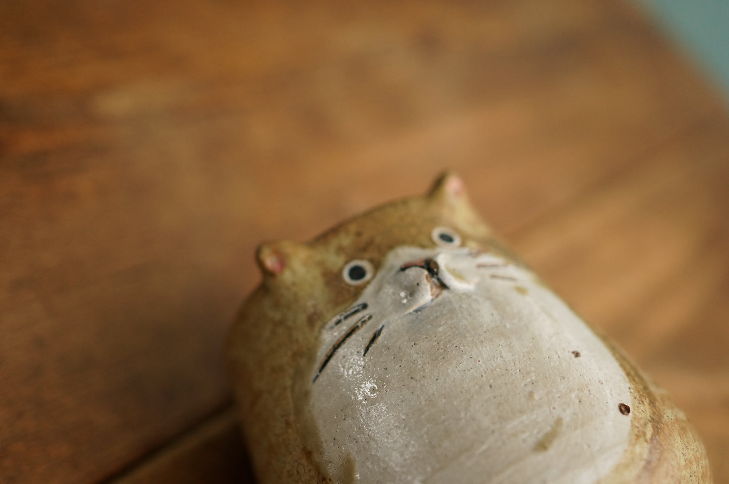 Four Legs Cat Cup