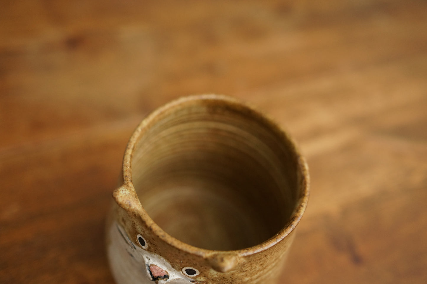 Four Legs Cat Cup