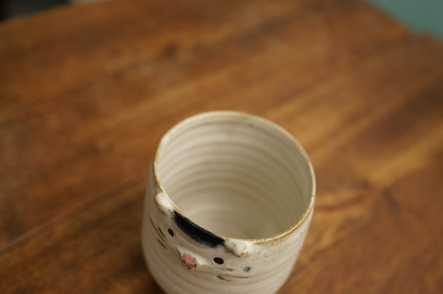 Four Legs Cat Cup
