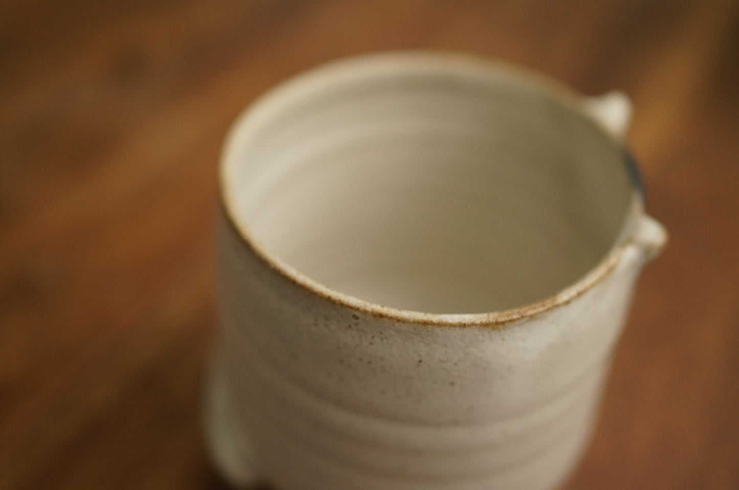 Four Legs Cat Cup