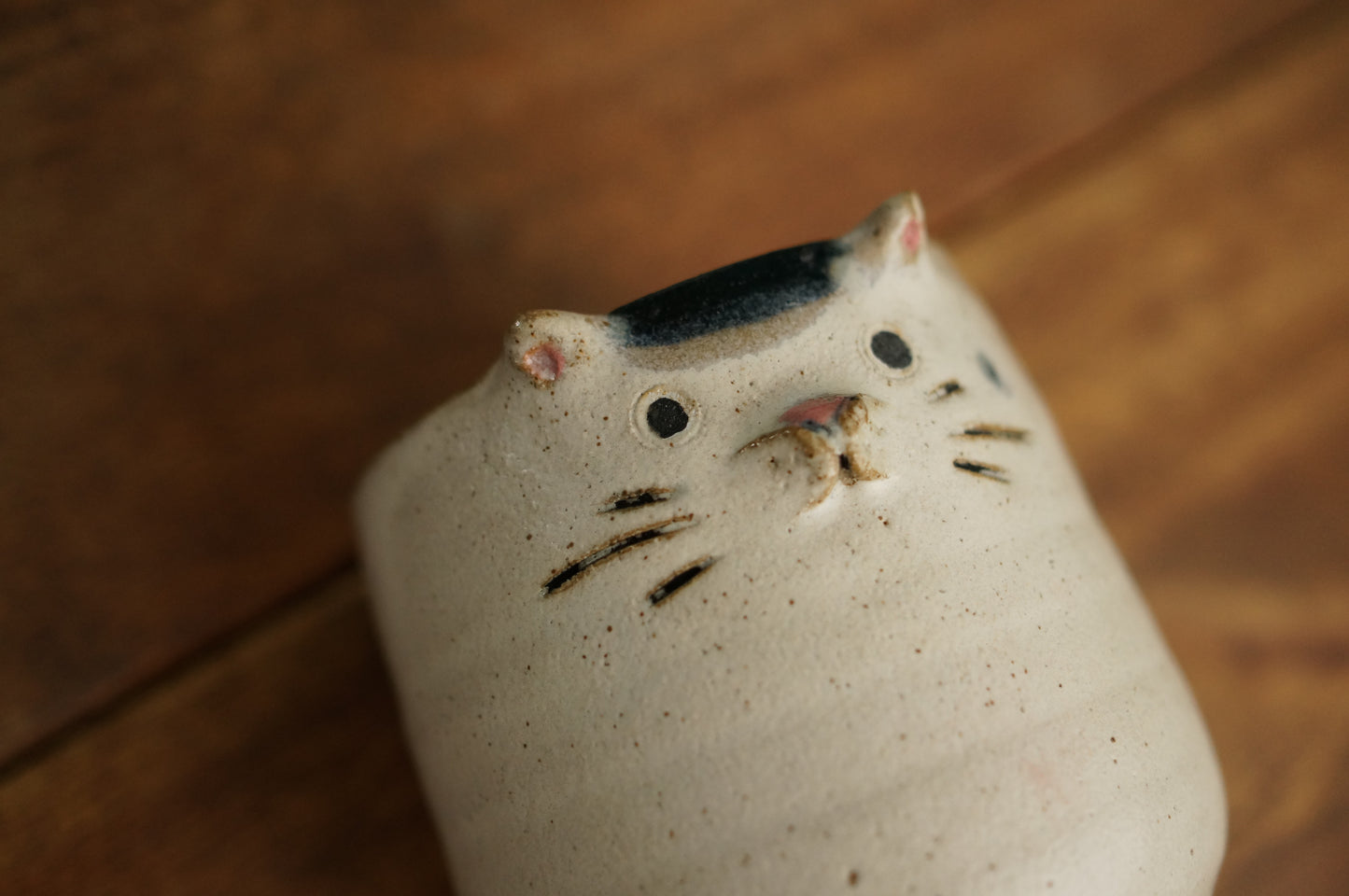Four Legs Cat Cup