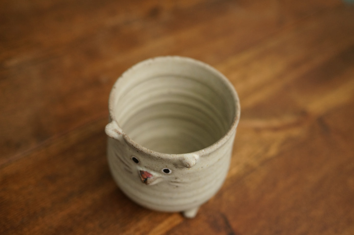 Four Legs Cat Cup