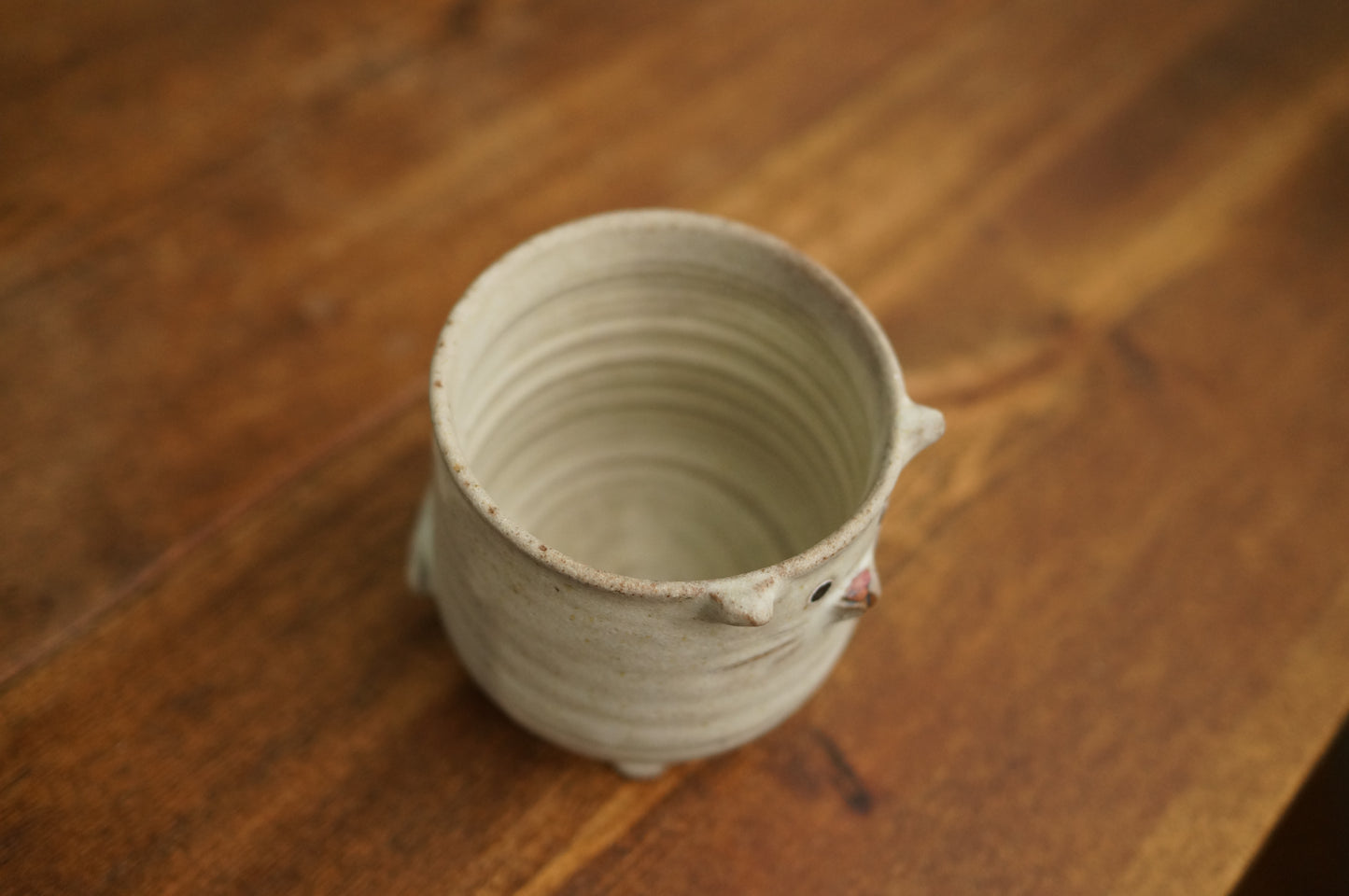 Four Legs Cat Cup