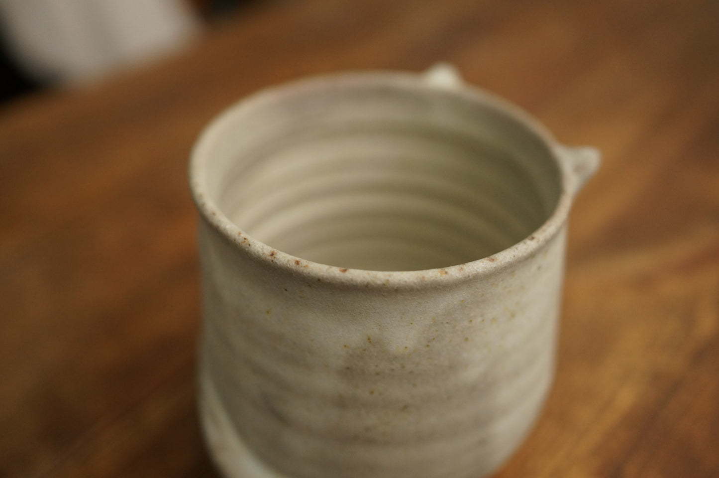 Four Legs Cat Cup