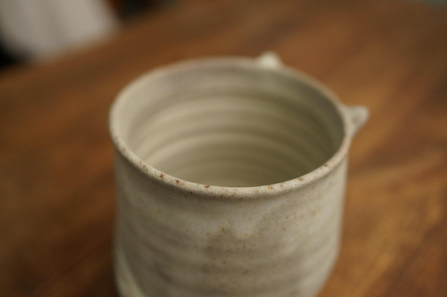 Four Legs Cat Cup