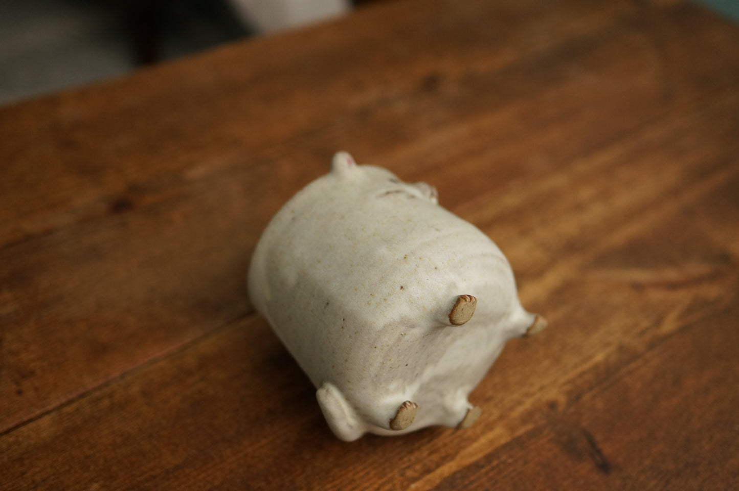 Four Legs Cat Cup