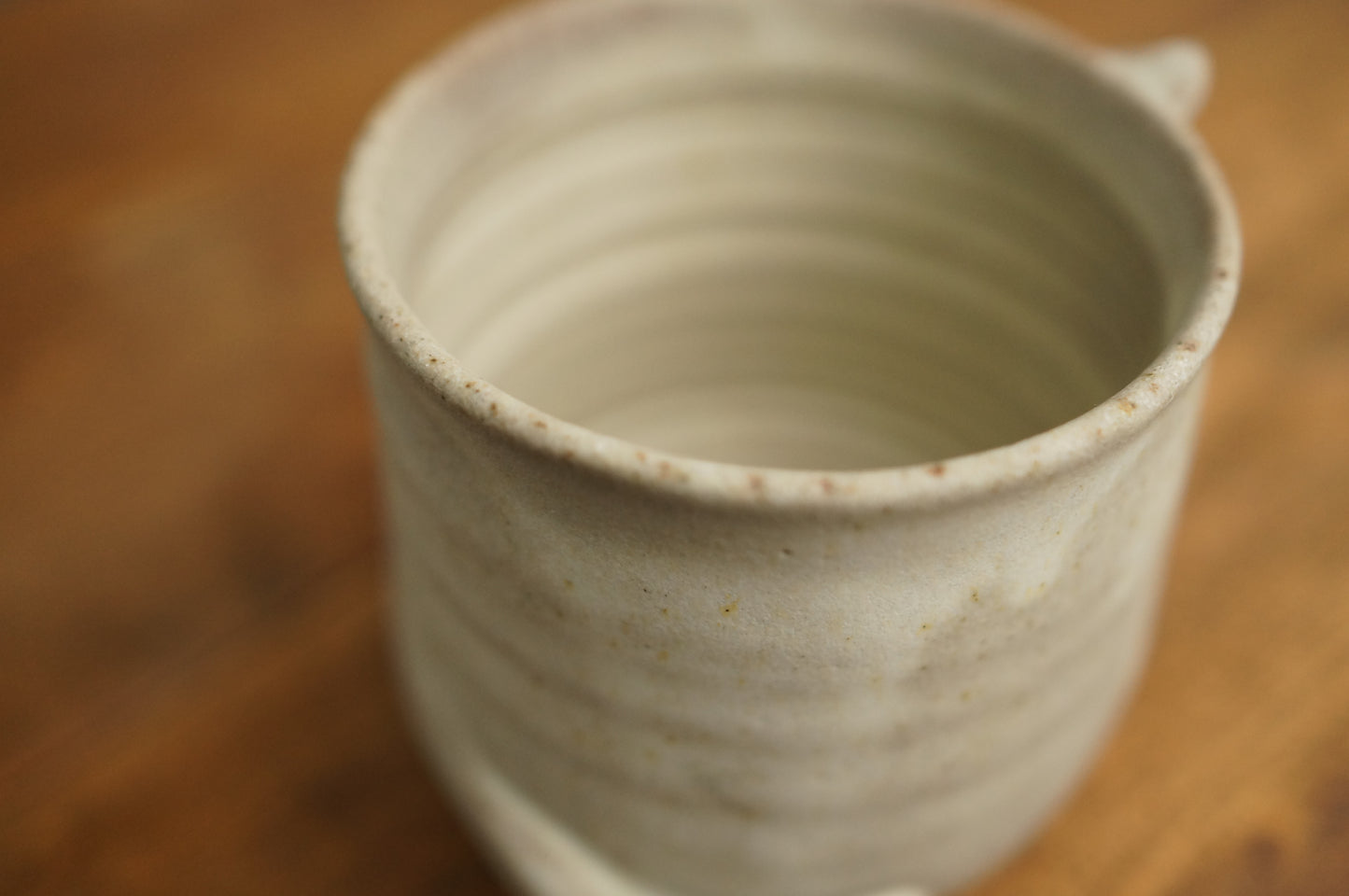 Four Legs Cat Cup