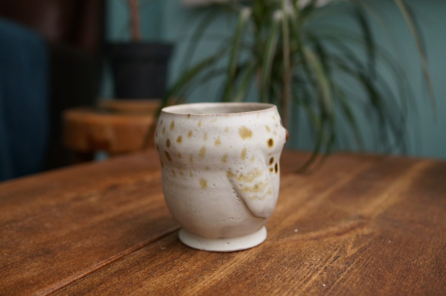 Snowy Owl Cup