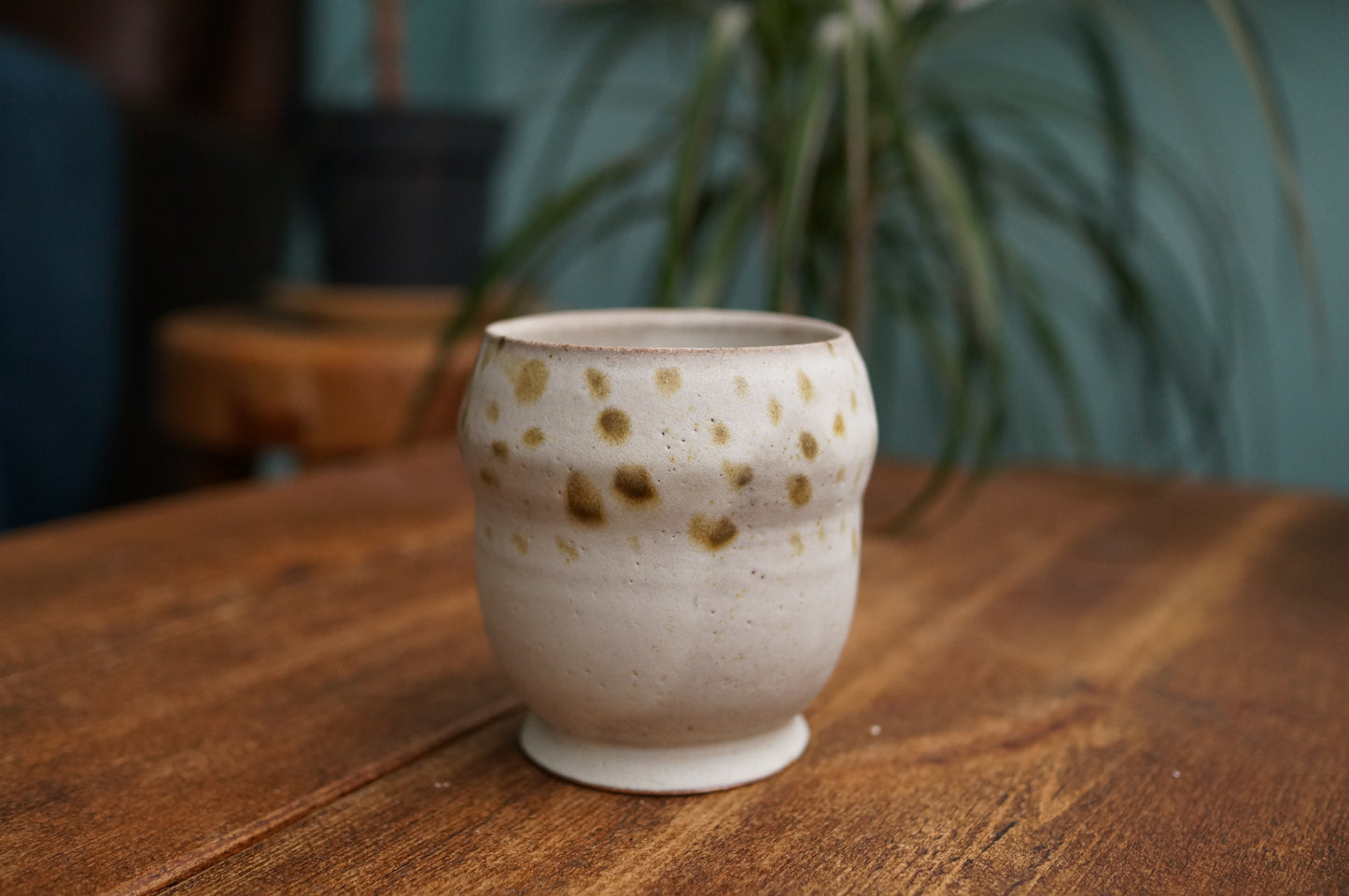 Snowy Owl Cup
