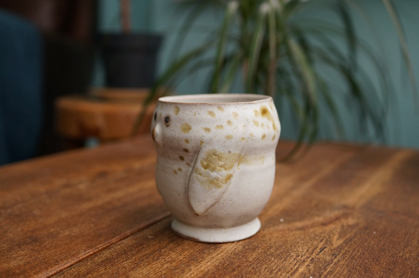 Snowy Owl Cup