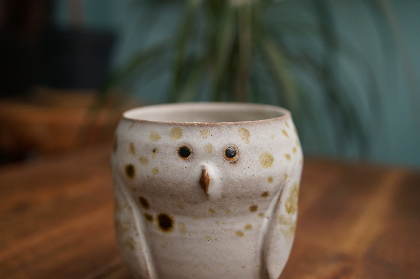 Snowy Owl Cup