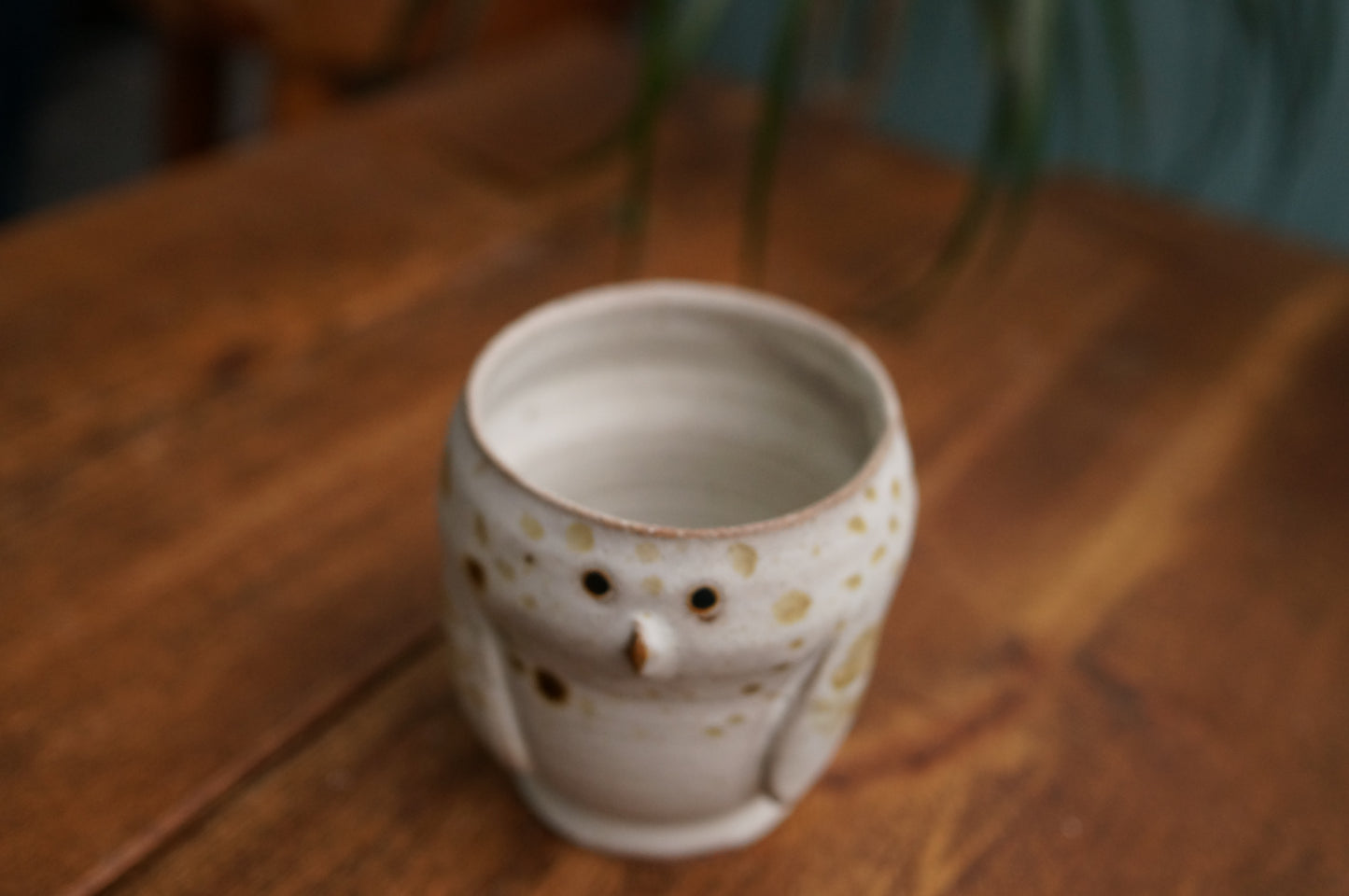 Snowy Owl Cup