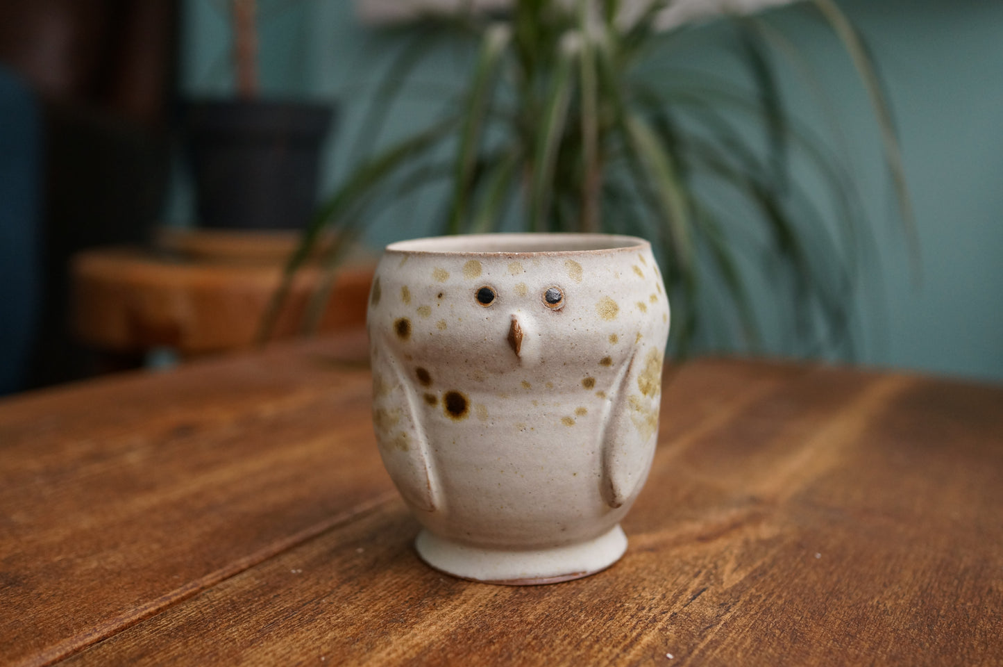 Snowy Owl Cup