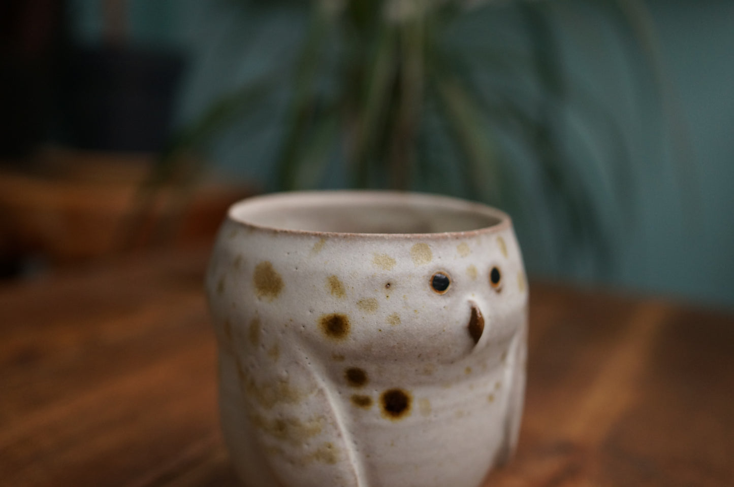 Snowy Owl Cup