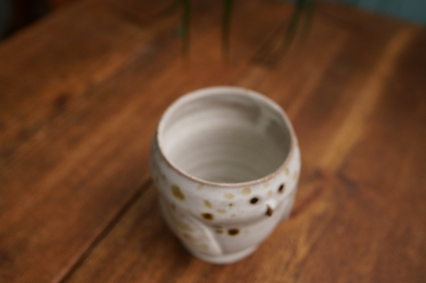 Snowy Owl Cup