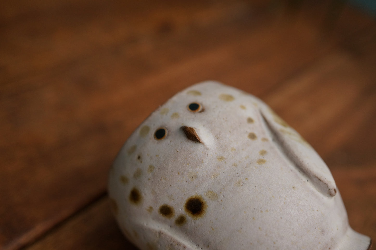 Snowy Owl Cup