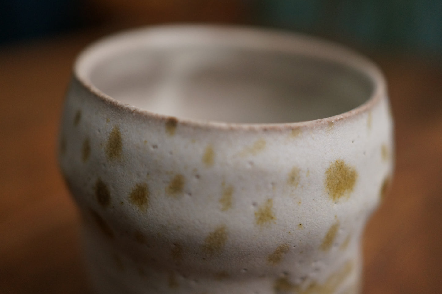 Snowy Owl Cup