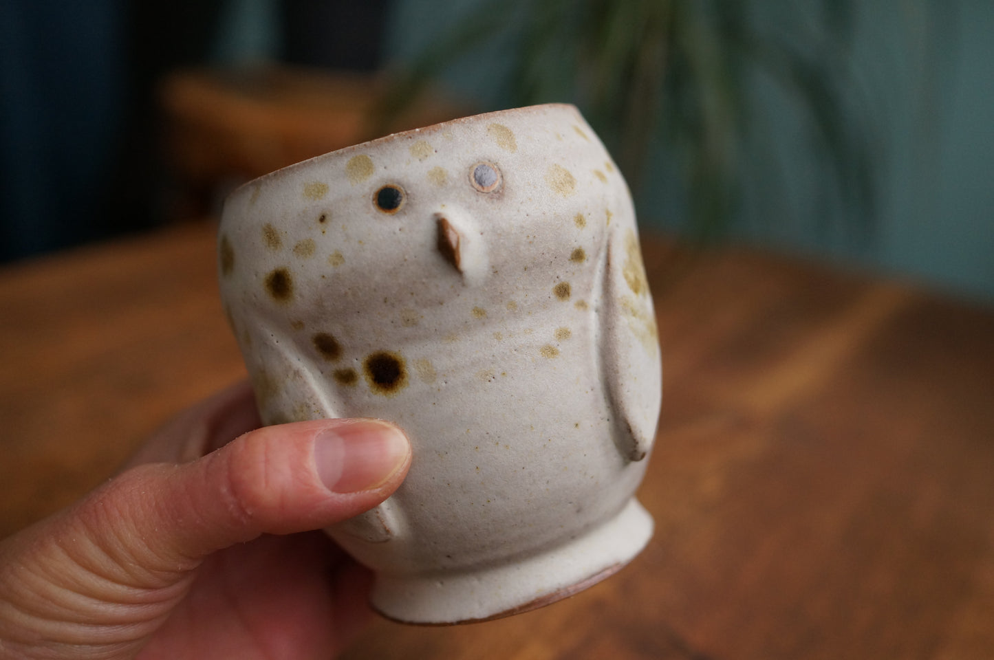 Snowy Owl Cup