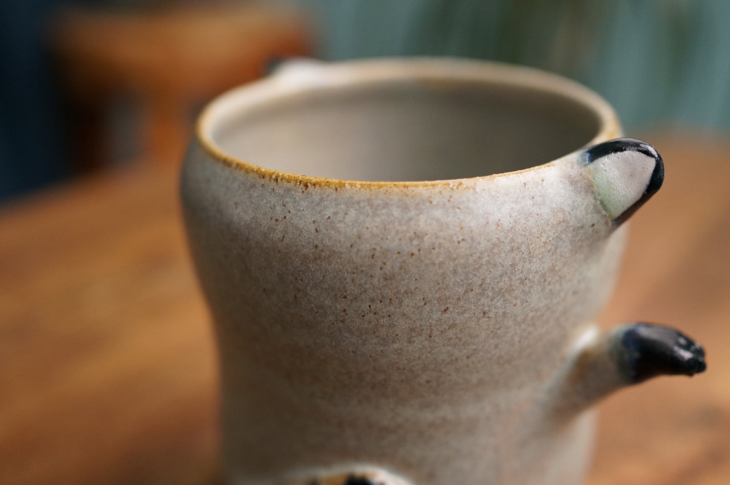 Raccoon Cup