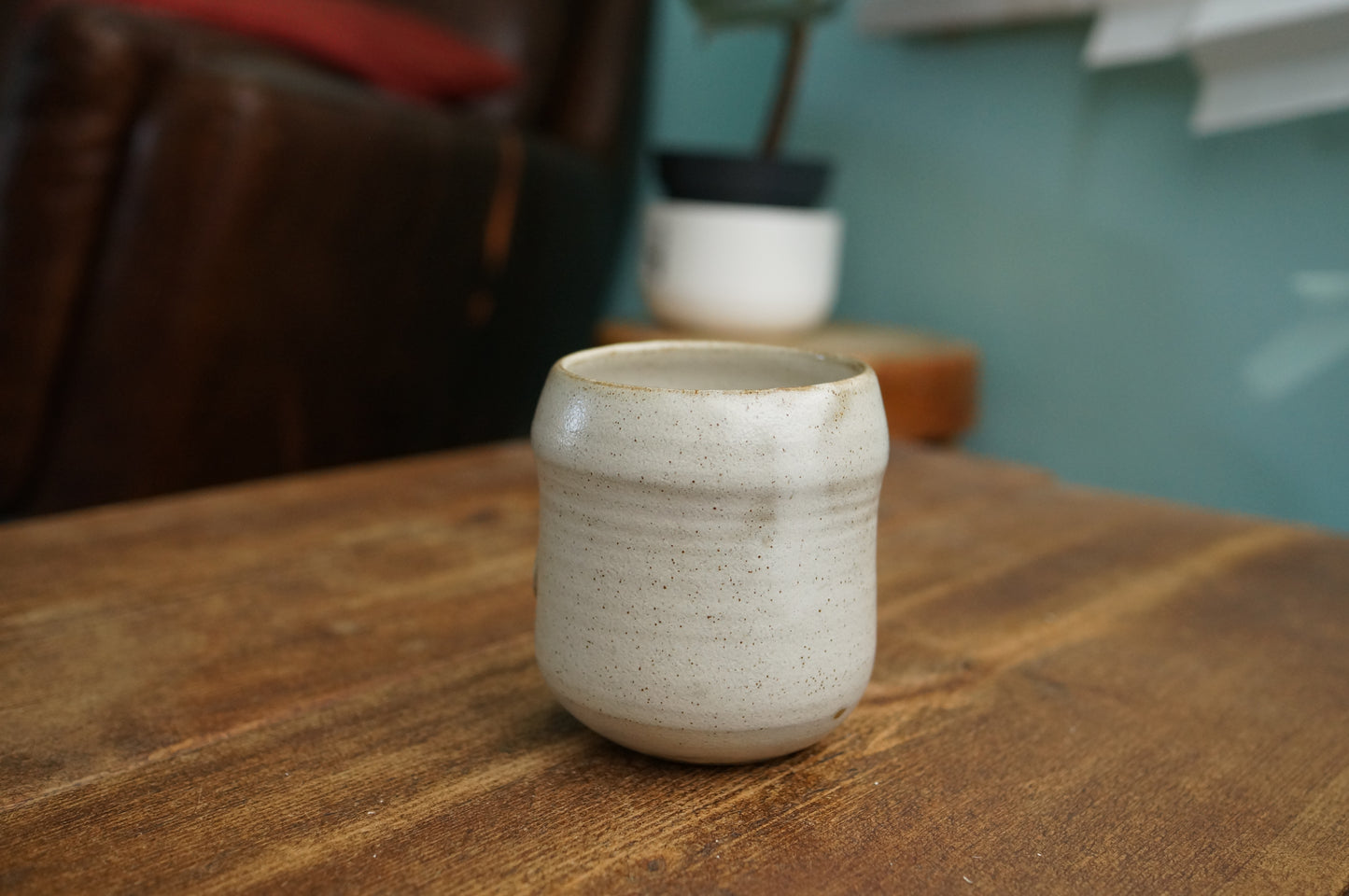 Seal Cup